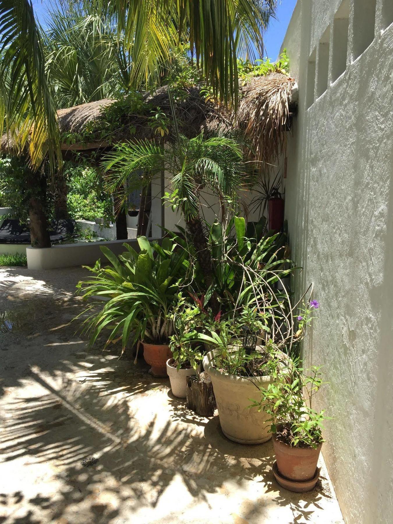 Mi Casa En Cozumel Hotel Luaran gambar